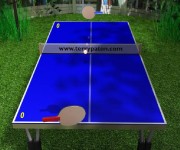 Ping Pong gra online